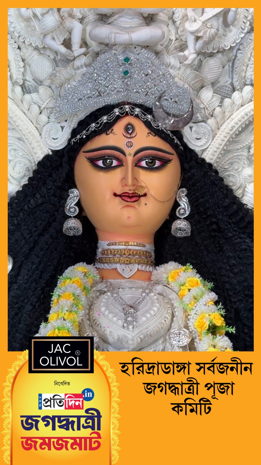 Jagaddhatri Jamjamat 2025 | সেজে উঠেছে হরিদ্রডাঙ্গা সর্বজনীন জগদ্ধাত্রী পূজা কমিটির মণ্ডপ।